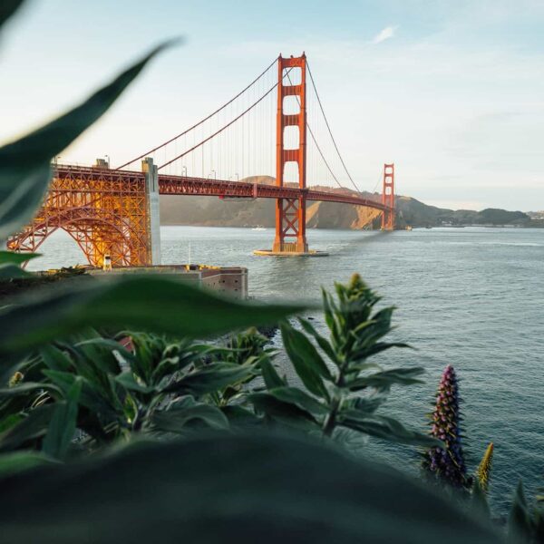 The Top Things to Do in San Francisco&hellip;